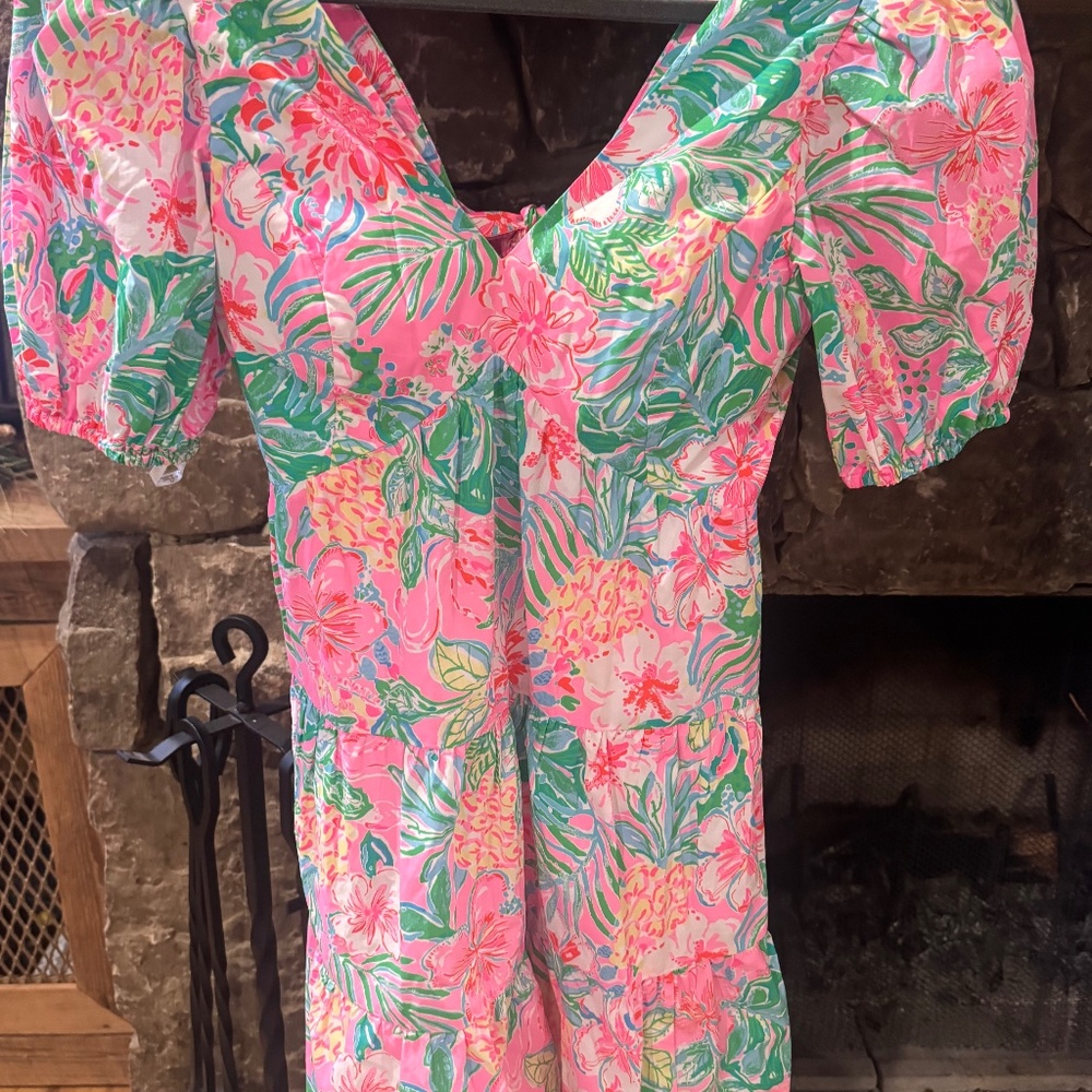 Lilly Dress - Picture 2 of 5